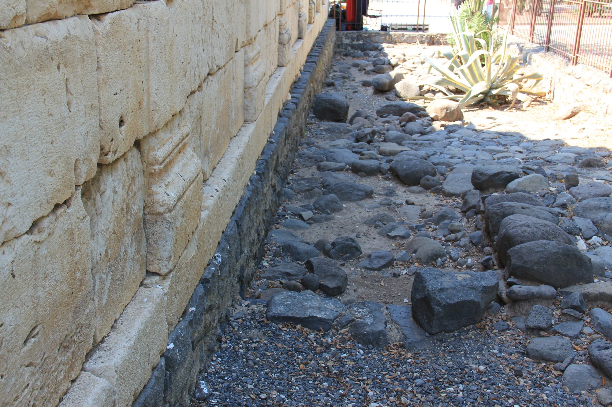 Capharnaum 20